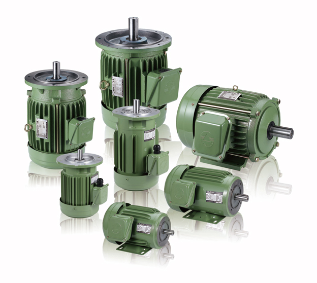 IE3 V3 Induction Motors