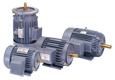 Inverter Duty Motors